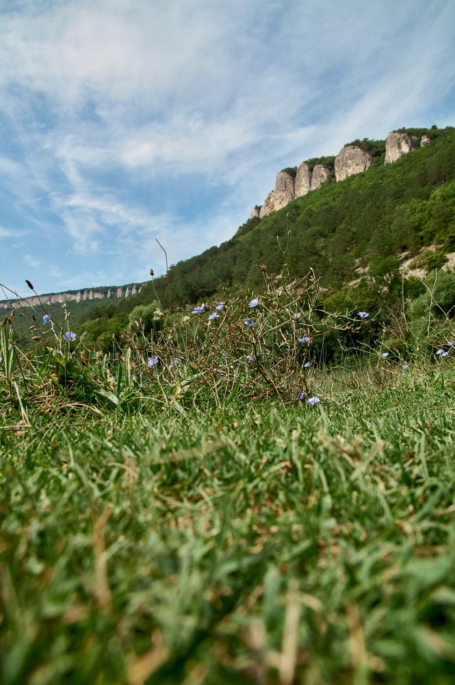 Photograph by Анастасия Пельменёва