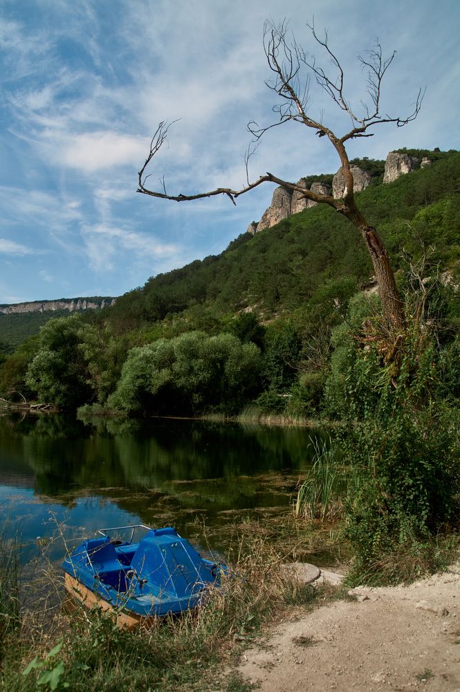 Photograph by Анастасия Пельменёва