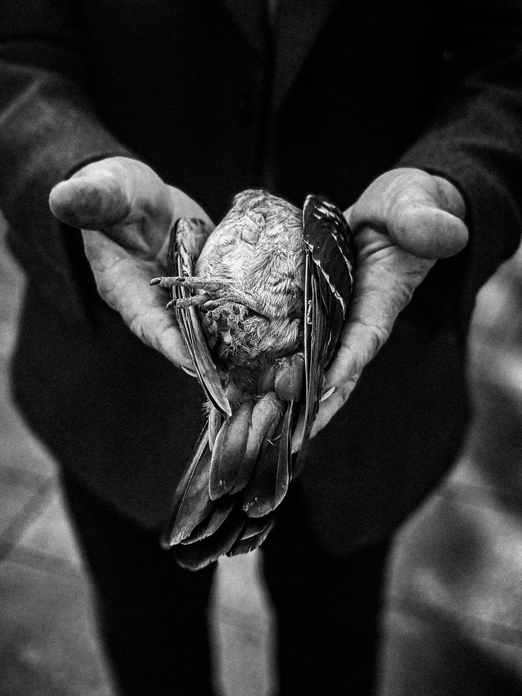 Photograph by Марина Щеглова