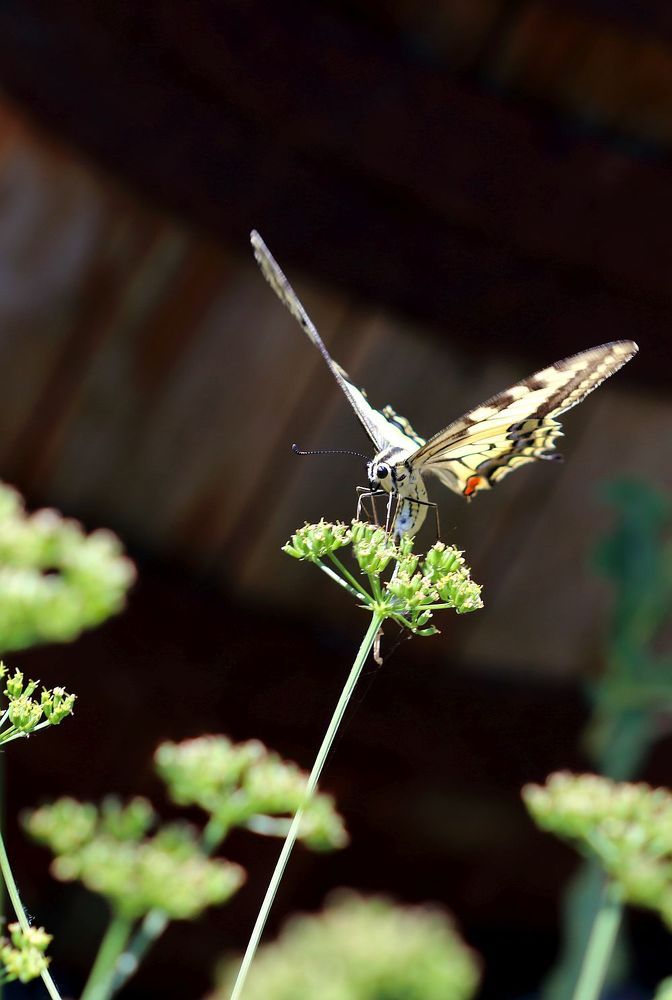 Photograph by Юрий Варюхин