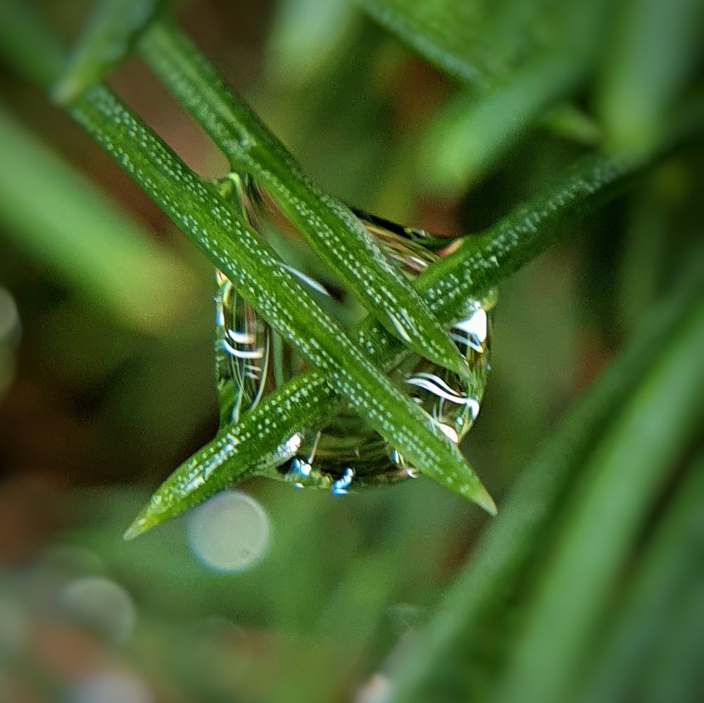 Photograph by Татьяна Мельникова