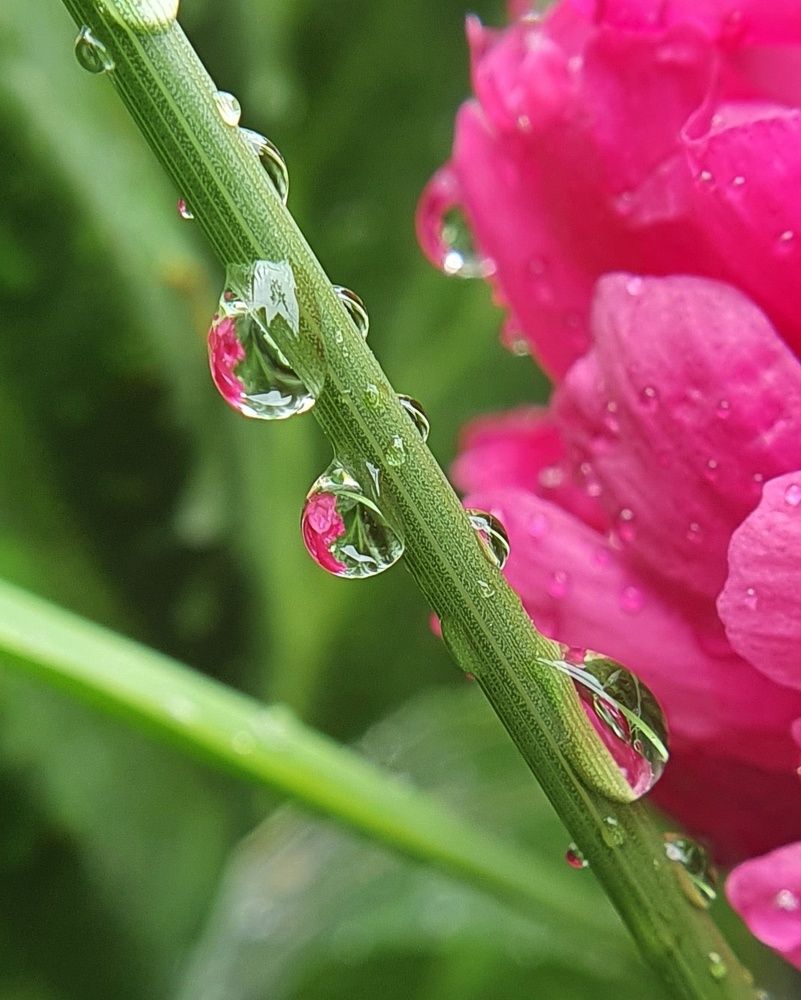 Photograph by Татьяна Мельникова