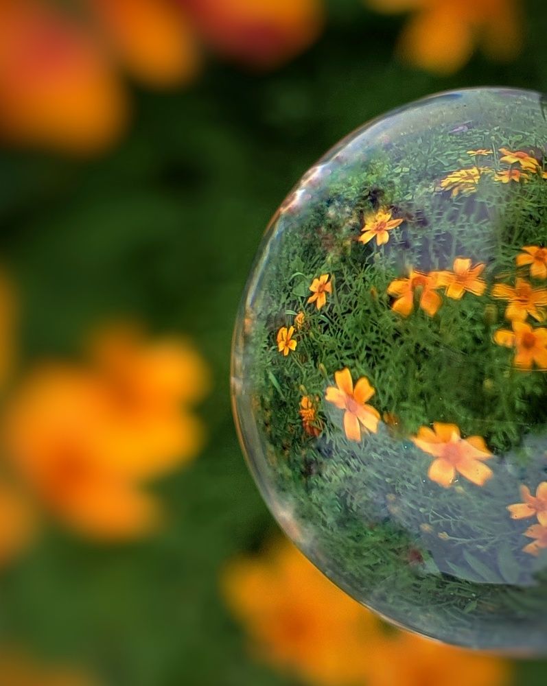 Photograph by Татьяна Мельникова