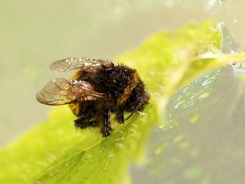 Photograph by Irina Grigoryeva