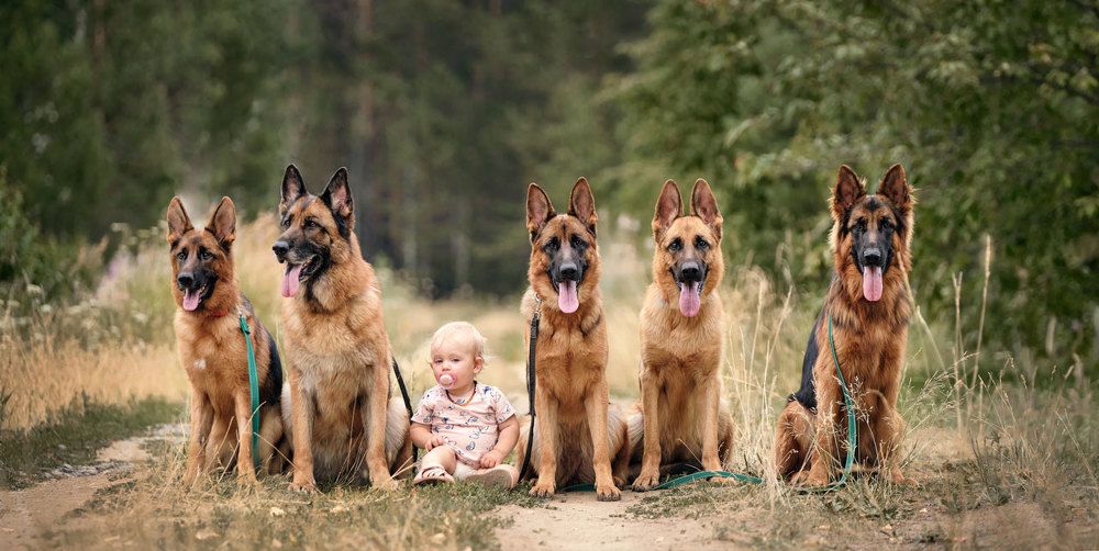 Photograph by Екатерина