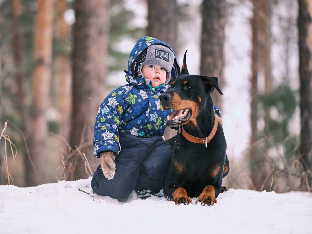 Photograph by Екатерина