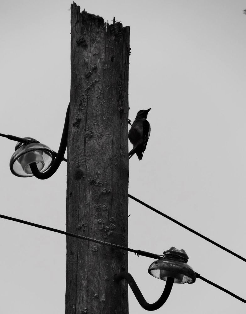 Photograph by Павел Васильев