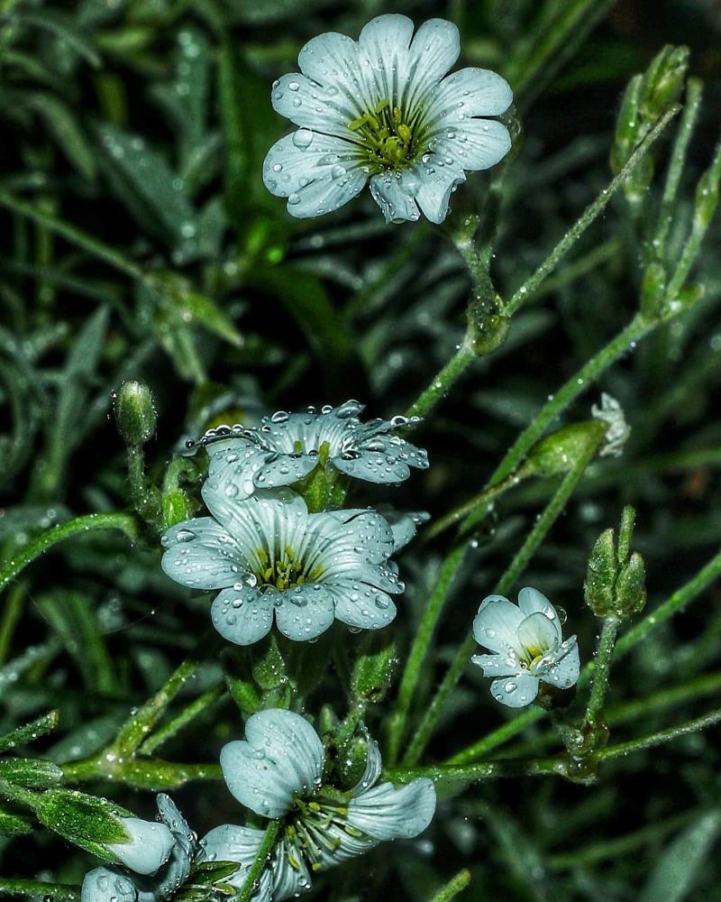 Photograph by Иван Локманов