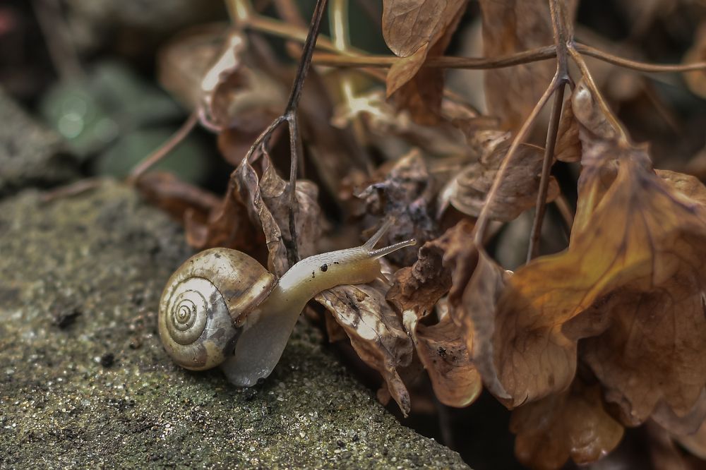 Photograph by Екатерина Абатурова