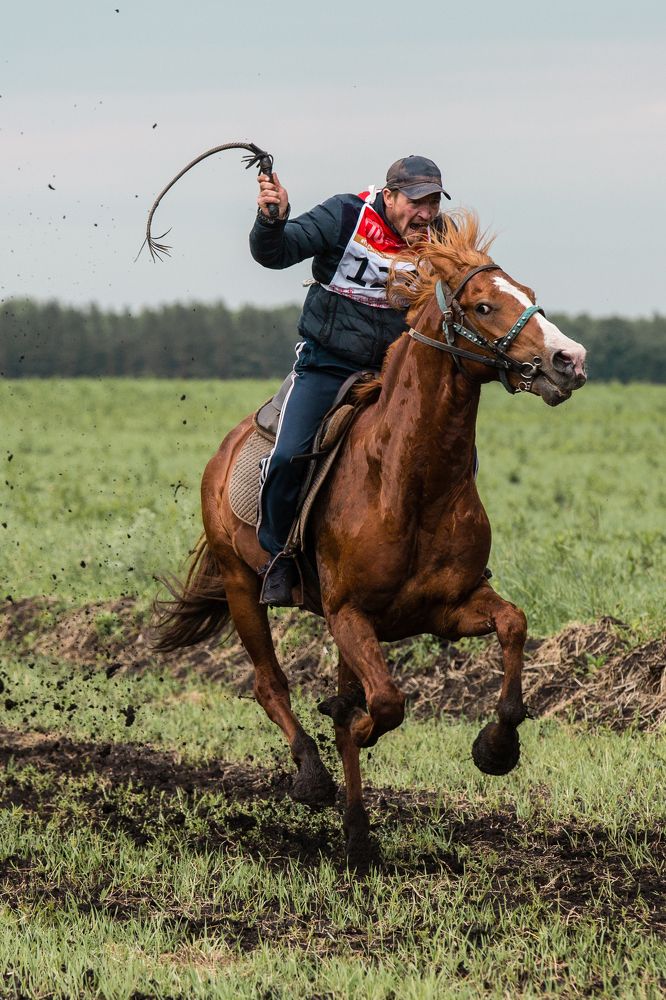 Photograph by Фирдаус Карипова