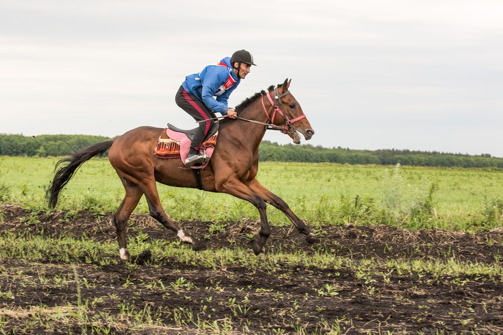 Photograph by Фирдаус Карипова