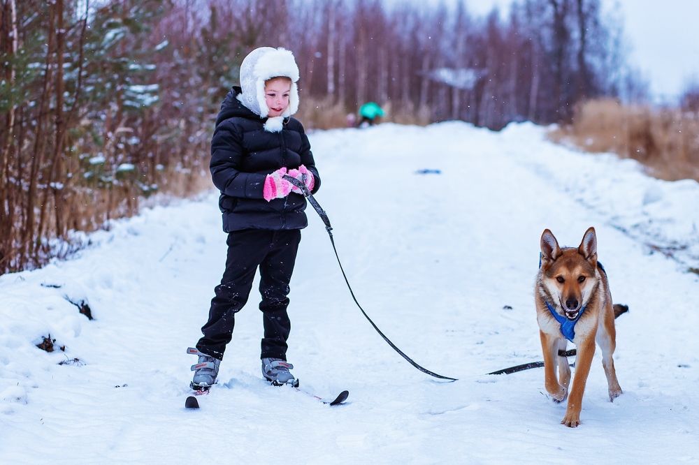 Photograph by Юлия Калугина