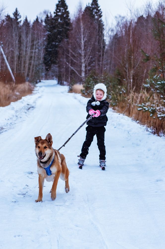 Photograph by Юлия Калугина