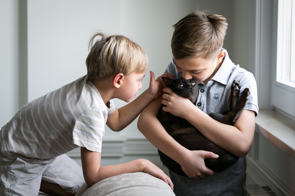 Photograph by Ирина Бородовская