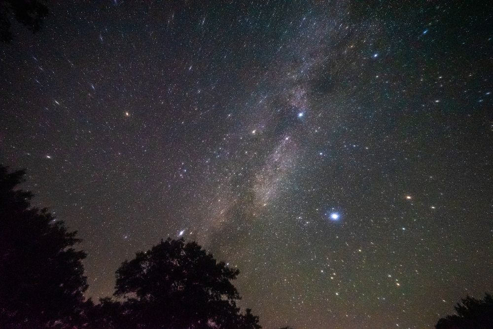 Photograph by Duane Vosika