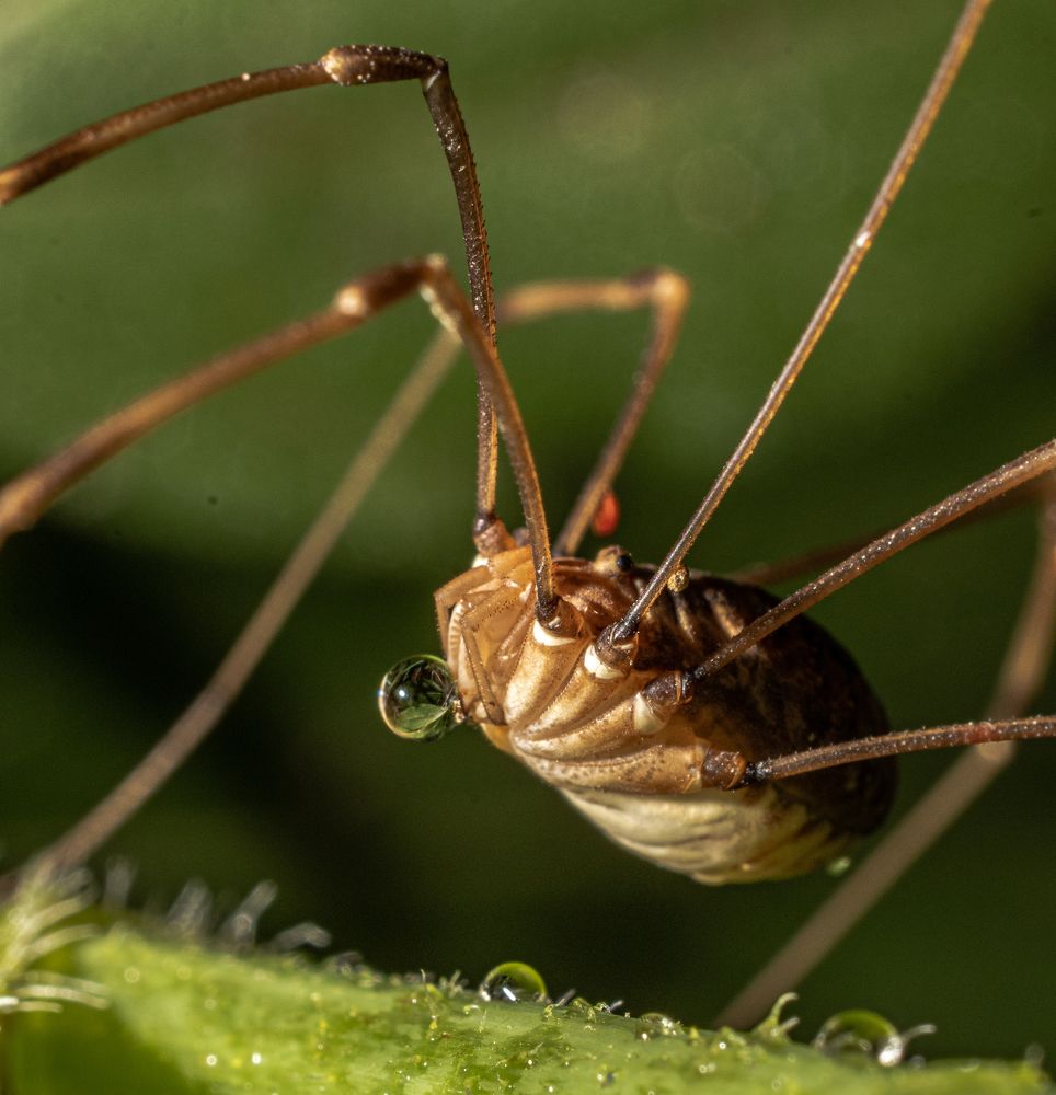 Photograph by Duane Vosika