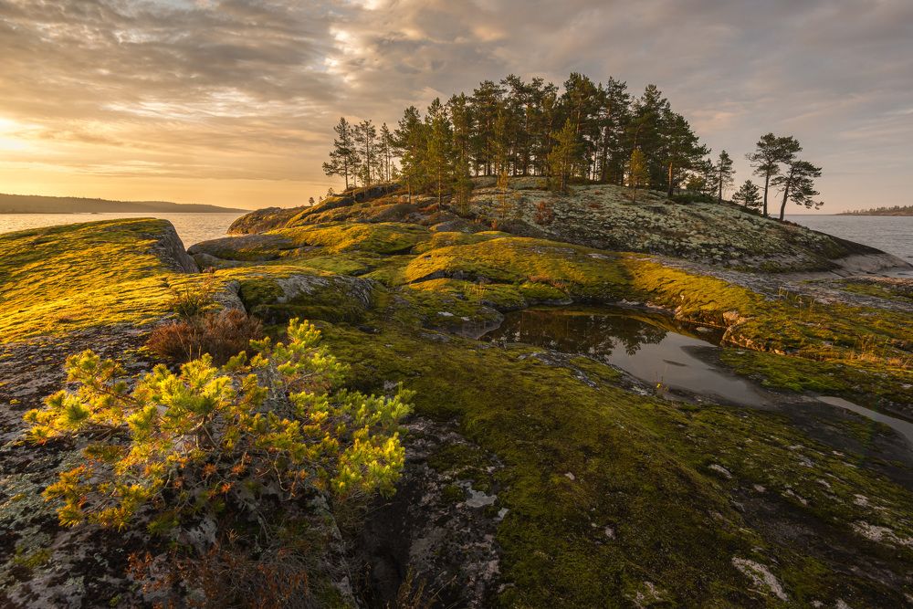 Photograph by Владимир Брагилевский