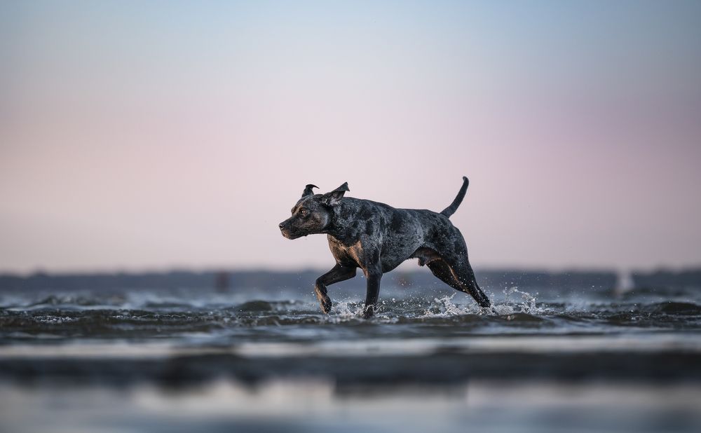 Photograph by Michelle Dawkins