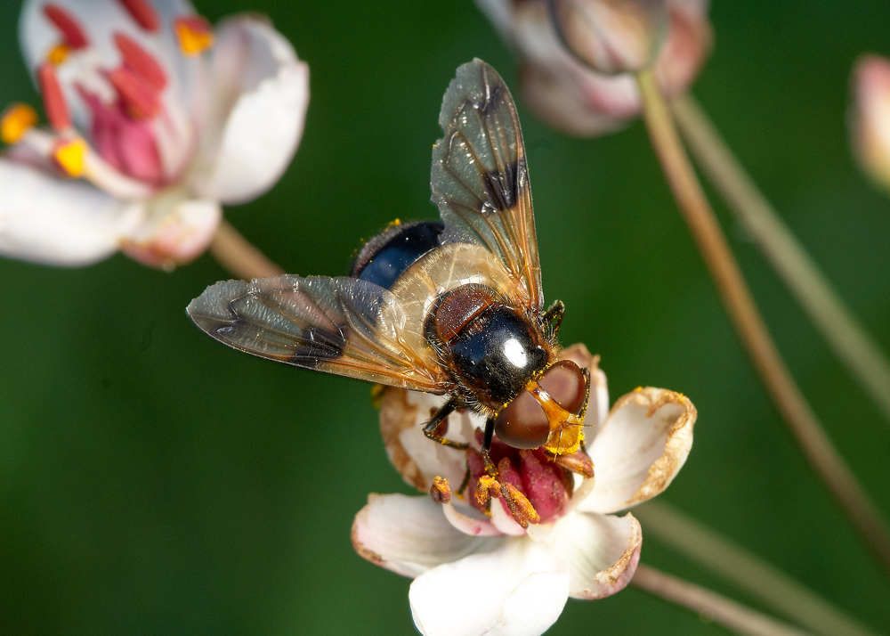 Photograph by Константин Усов