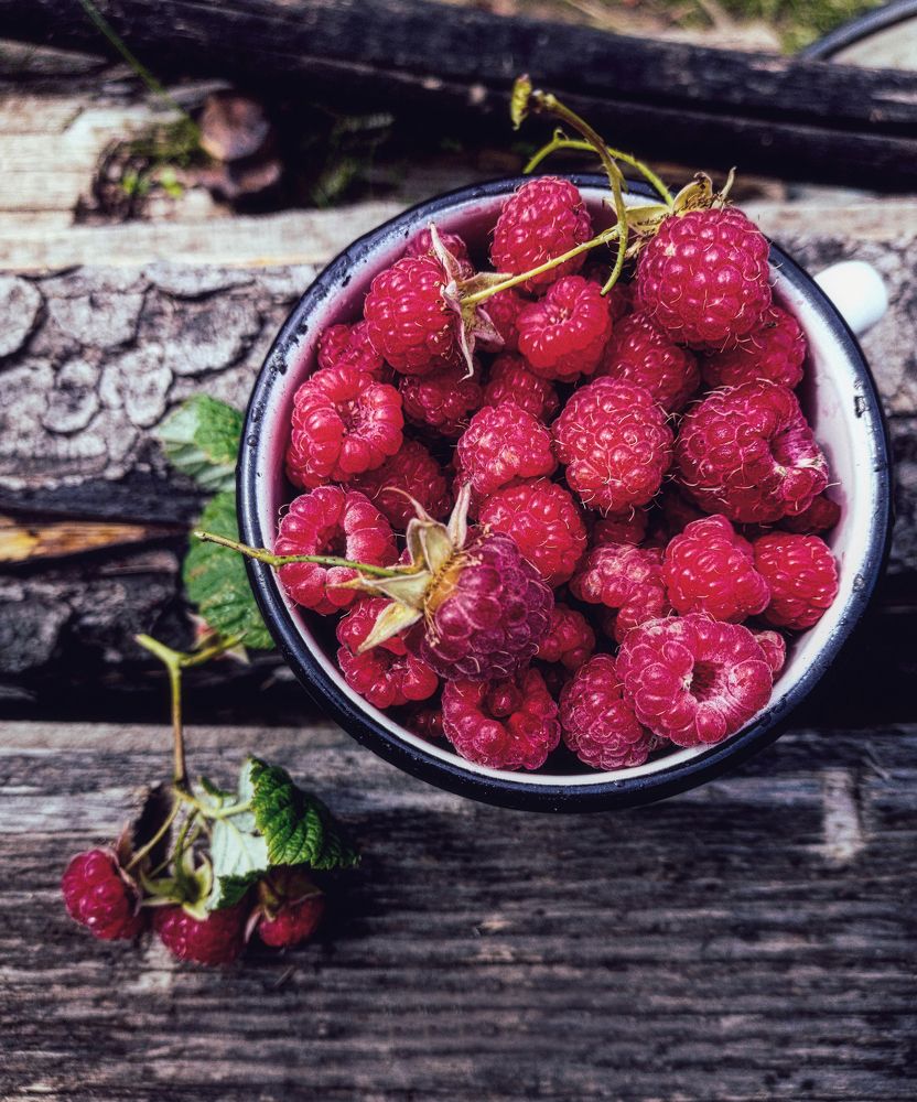 Photograph by Светлана Перминова