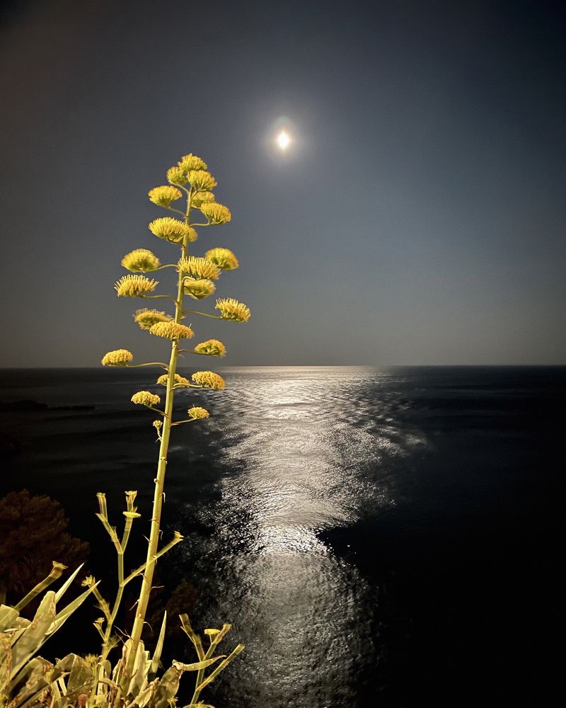 Полнолуние