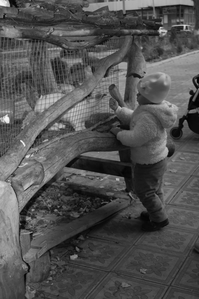 Photograph by Любовь Панфилова