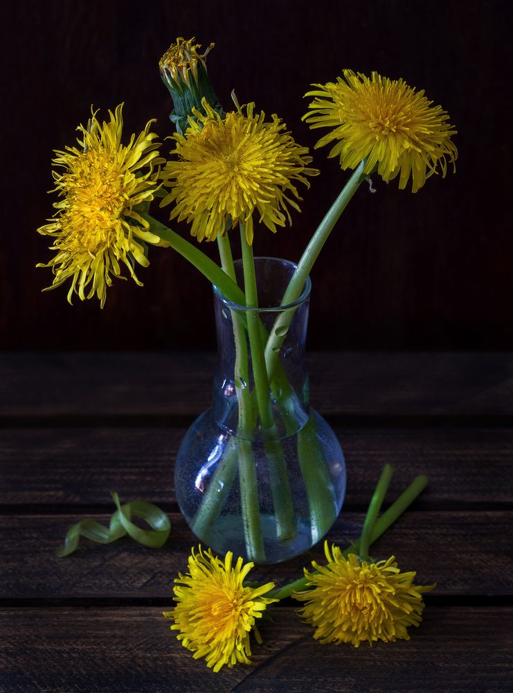 Photograph by Андрей Бурда