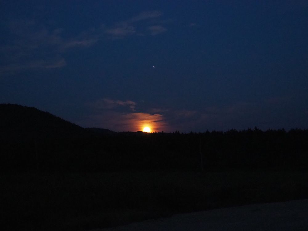 Фотография автора Olena Vorotyntseva