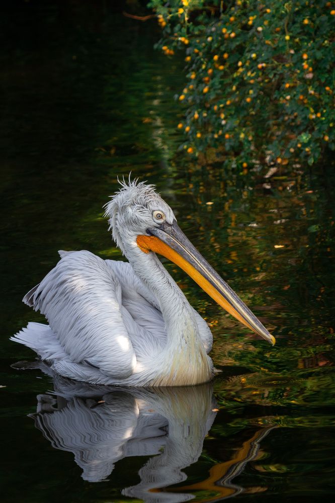 Photograph by Маргарита Таценко