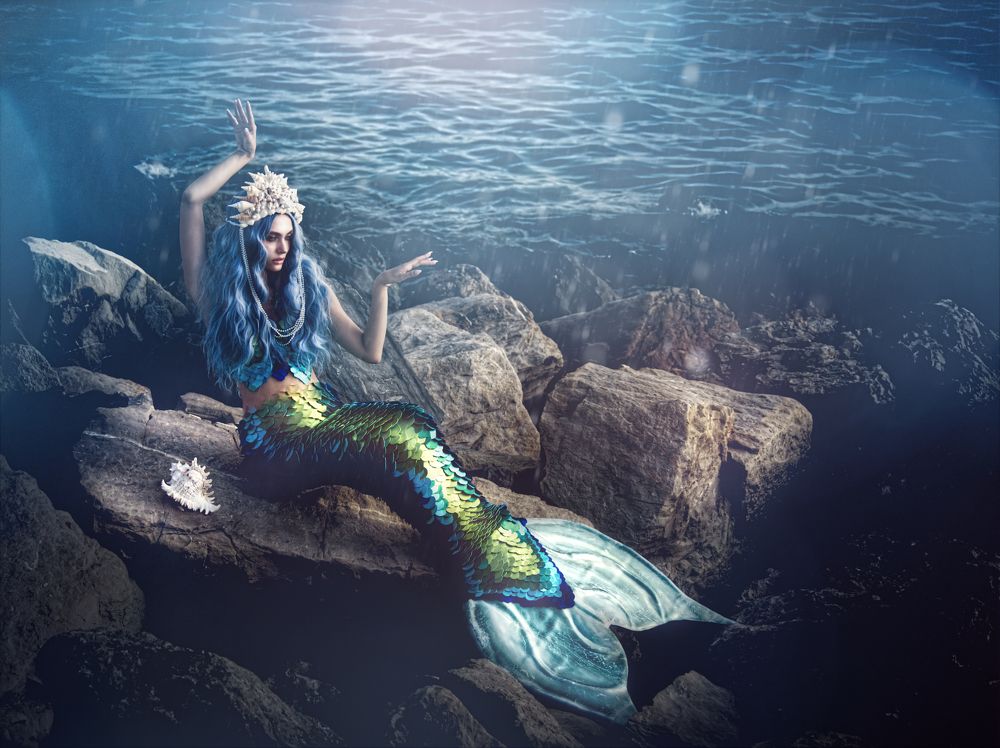 Photograph by AlVi Studio