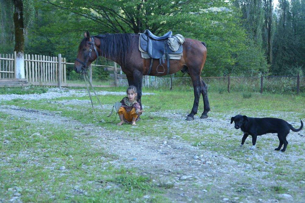 Photograph by Зиявдин Шашуев