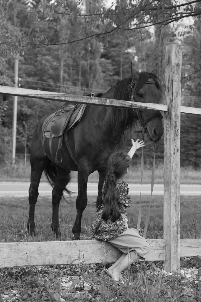 Photograph by Зиявдин Шашуев