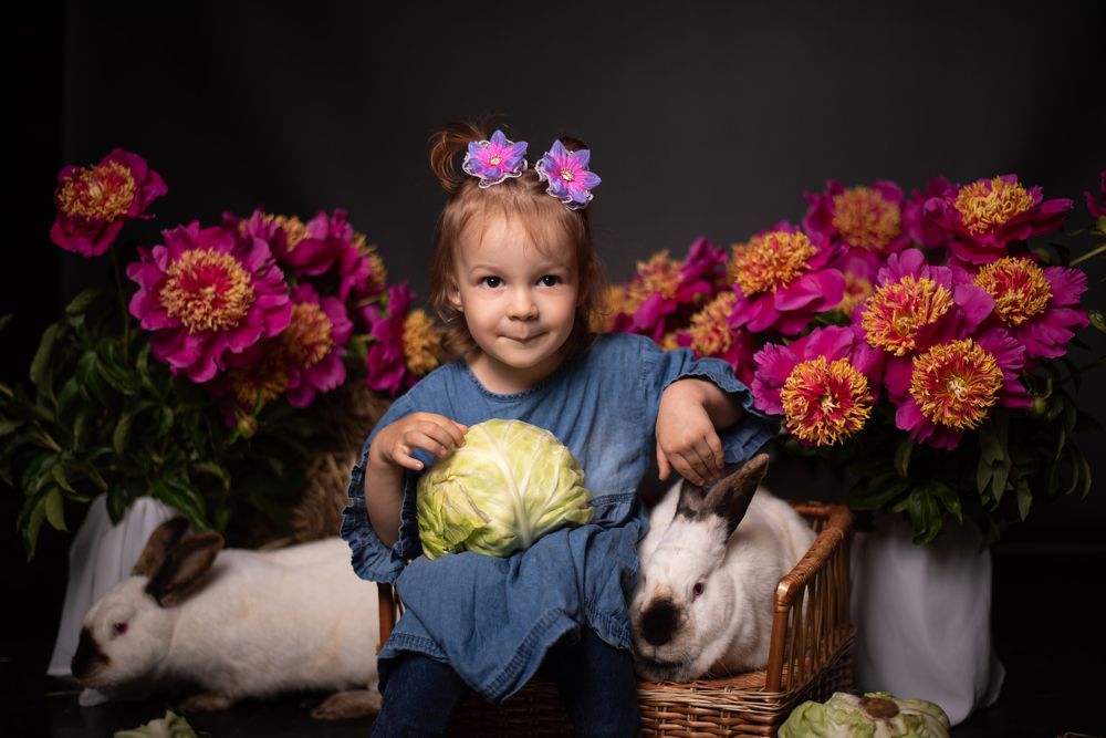 Photograph by Алина Петрашина