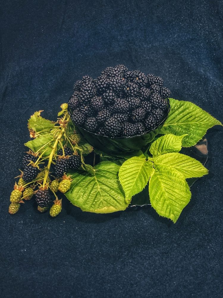 Photograph by Дмитрий Батейкин