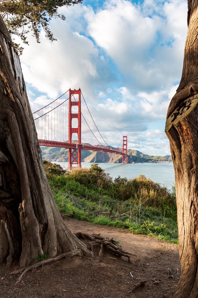 Photograph by Valeria Kasatkina