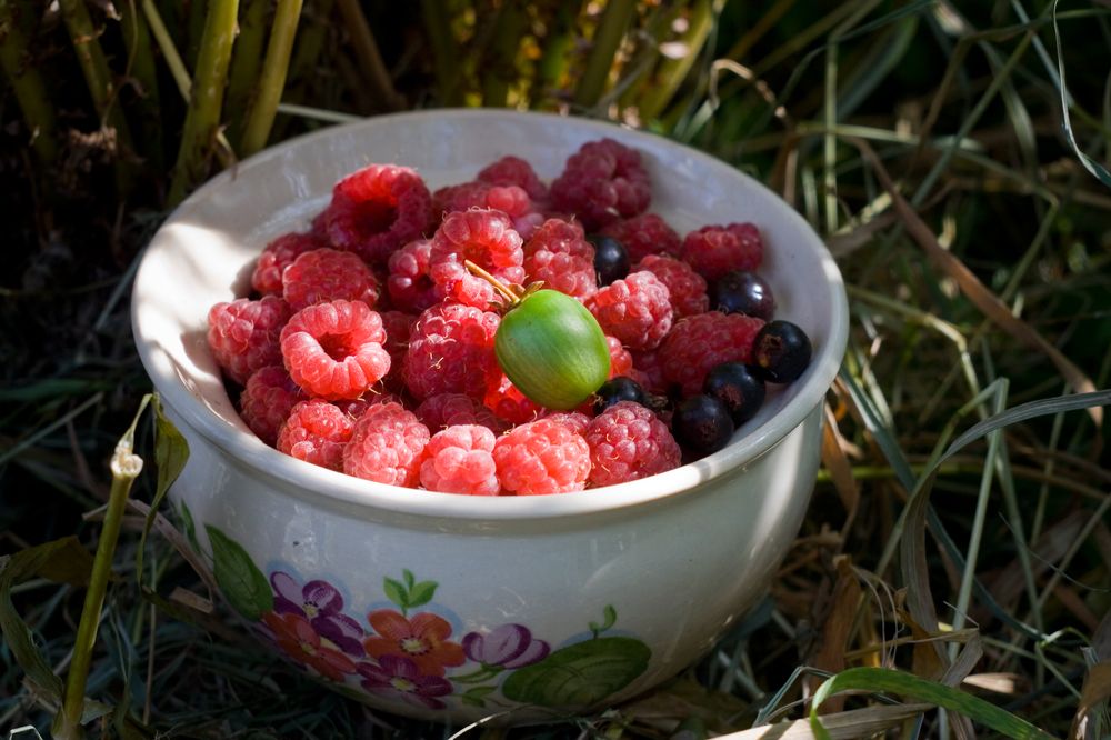 Photograph by коллега