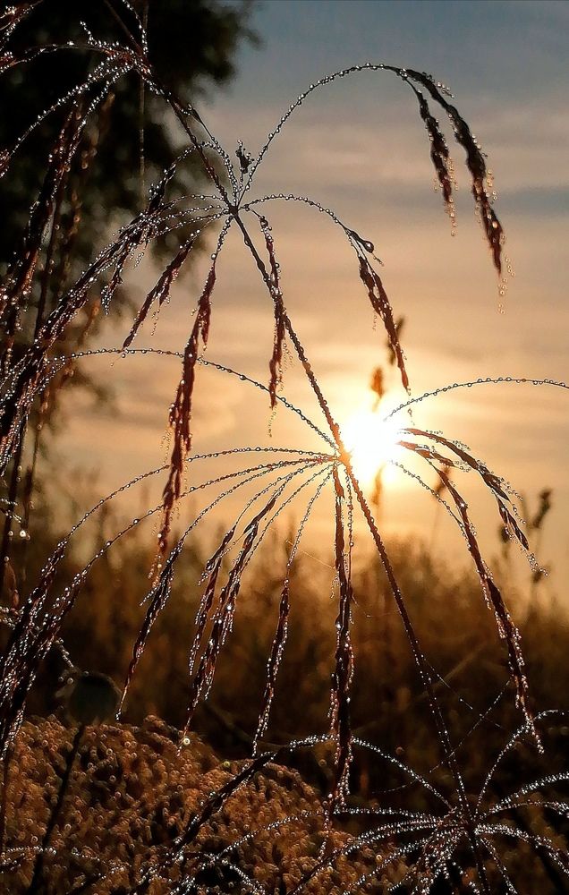 Photograph by Виктор Шубин