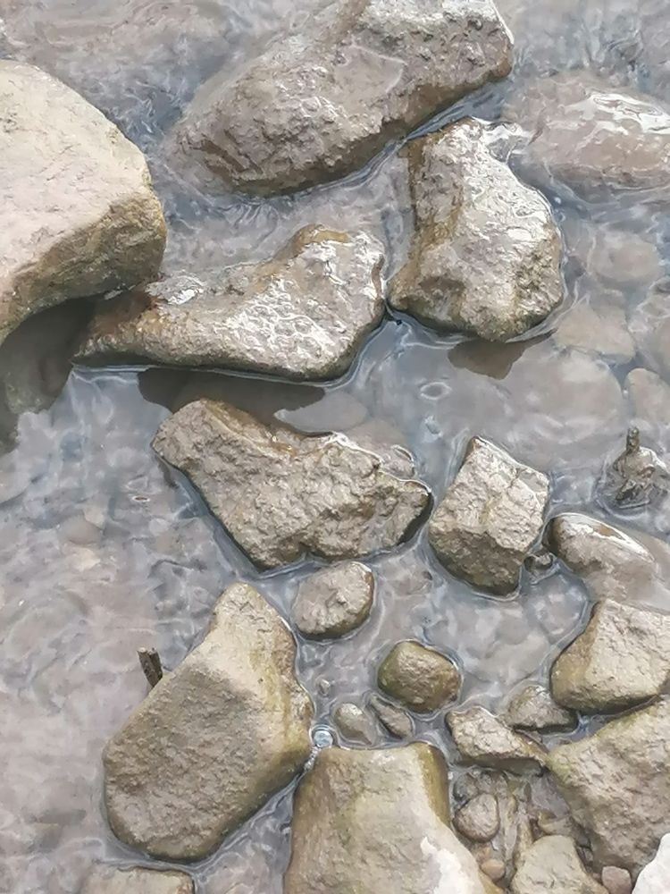 Photograph by Светлана Замятина