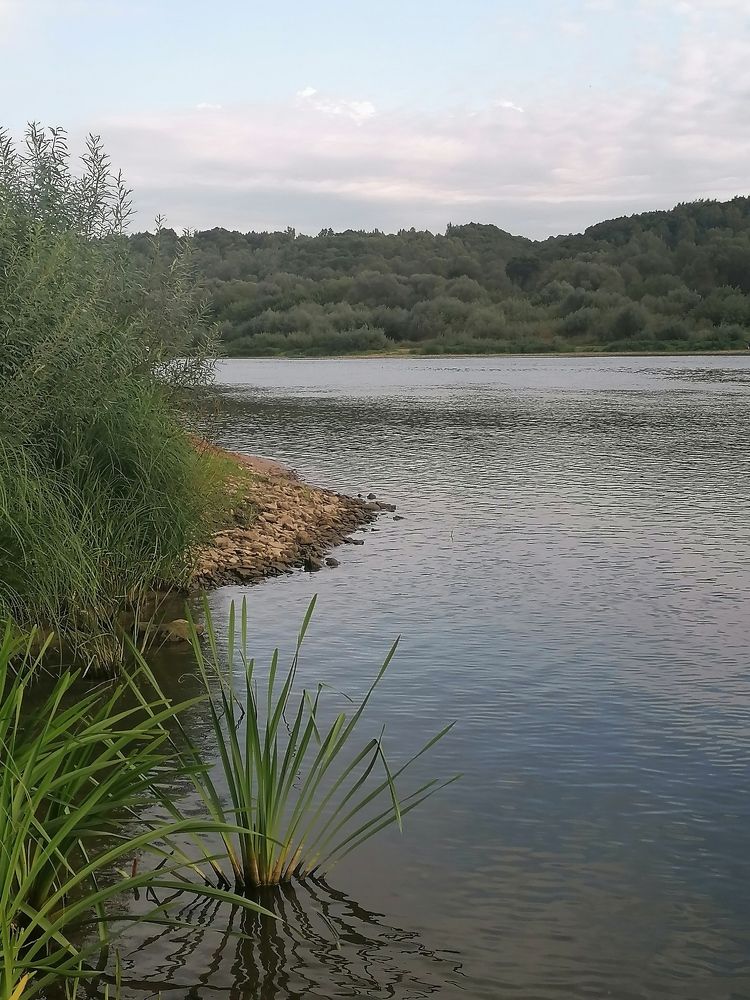 Photograph by Светлана Замятина