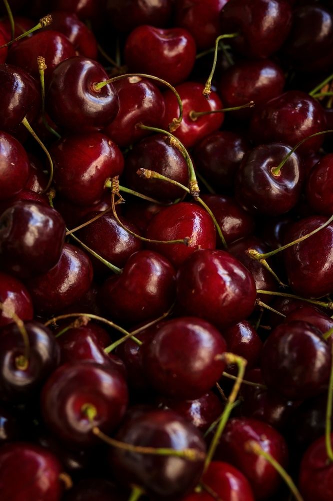 Фотография автора Piyush Paul