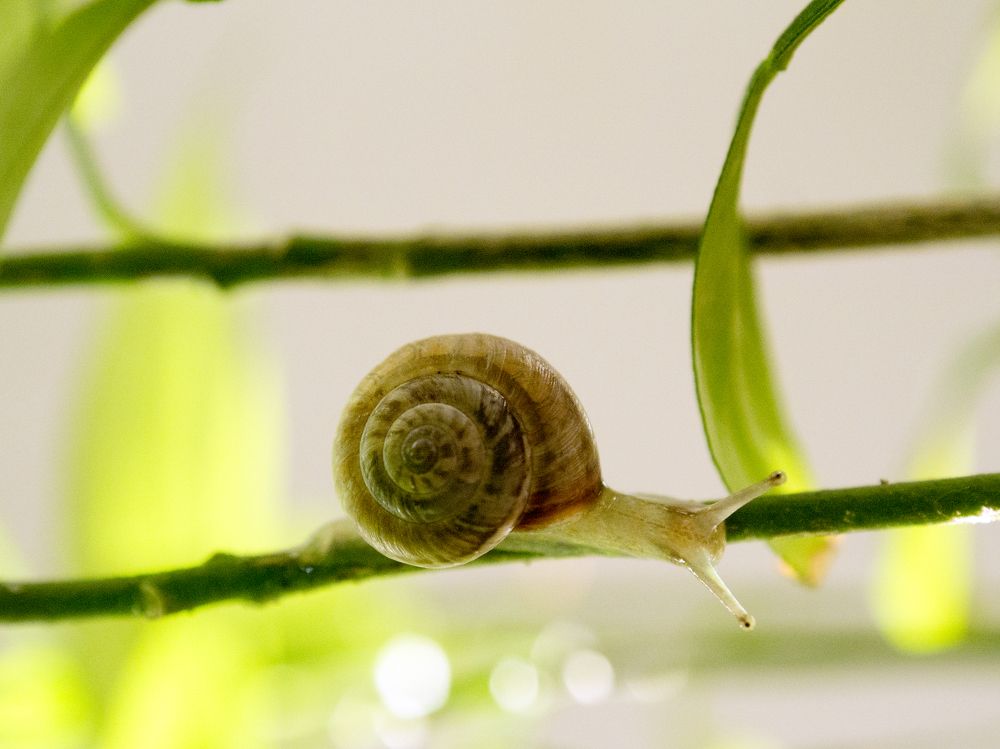 Photograph by Abdolreza Aleagha