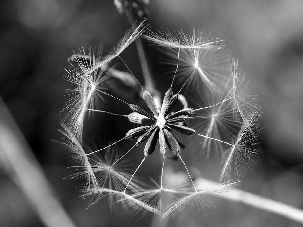 Photograph by Abdolreza Aleagha