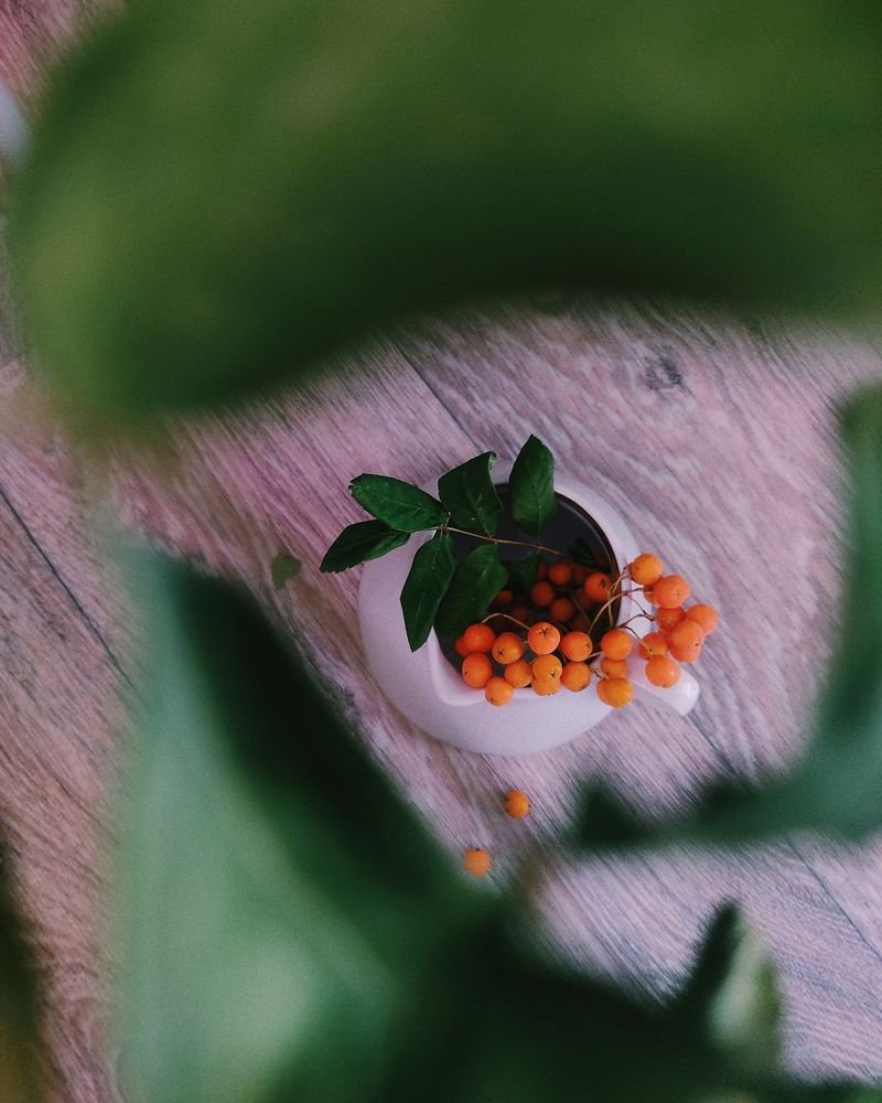 Photograph by Юлия Фролова