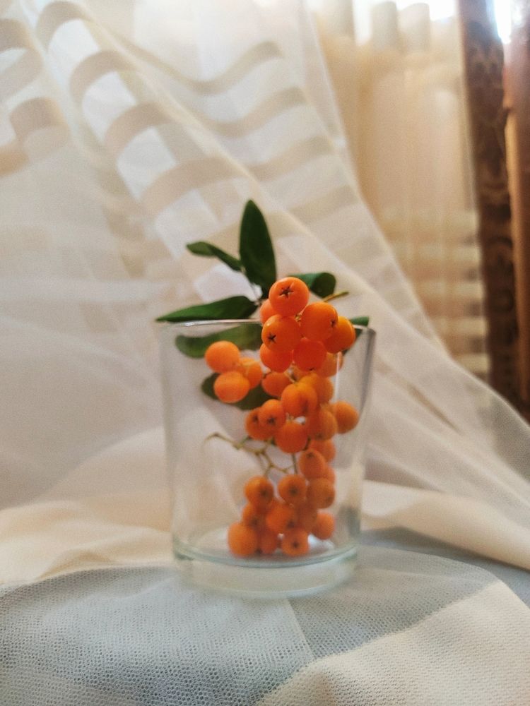 Photograph by Юлия Фролова