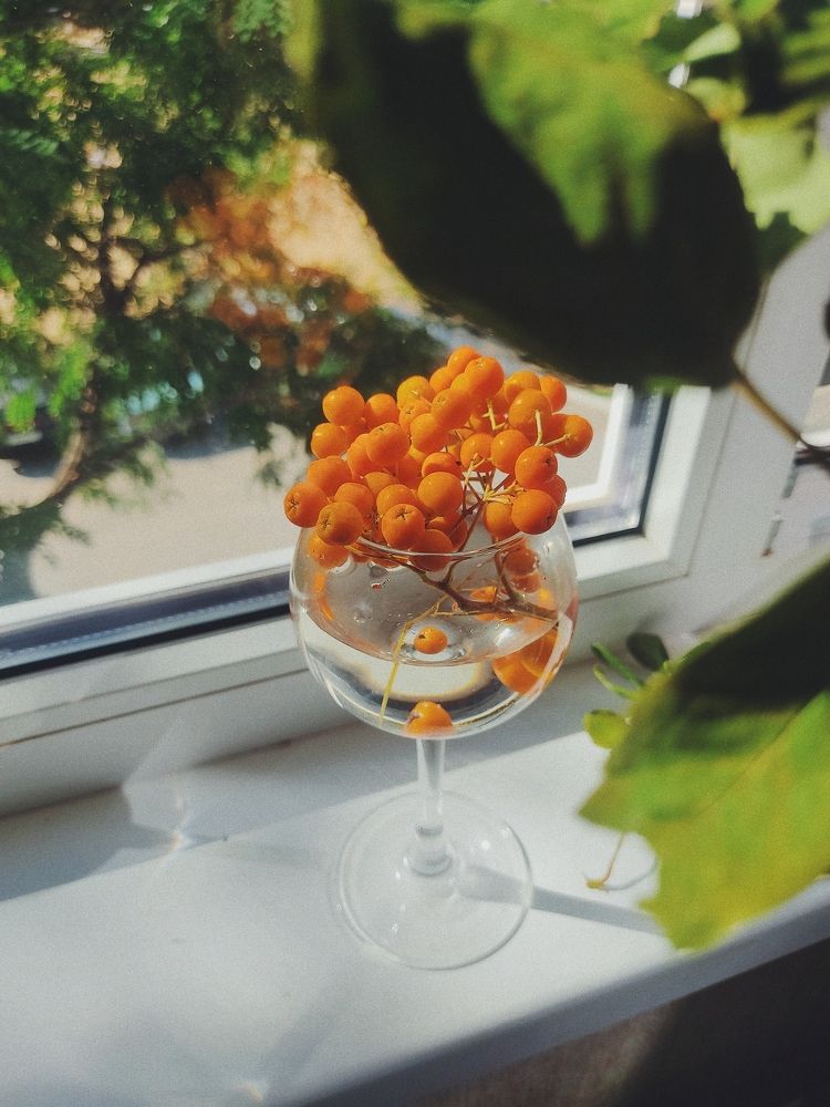 Photograph by Юлия Фролова