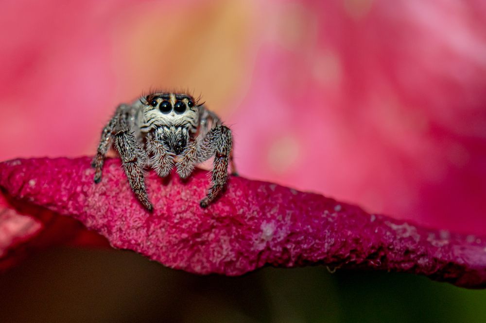 Photograph by Ellen Lichtenheldt