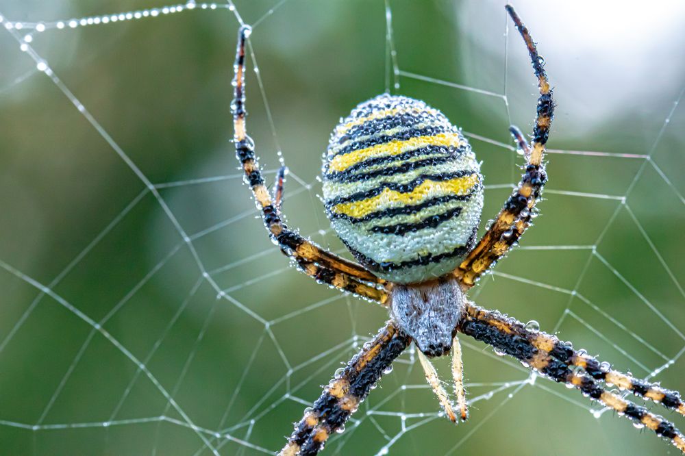 Photograph by Ellen Lichtenheldt