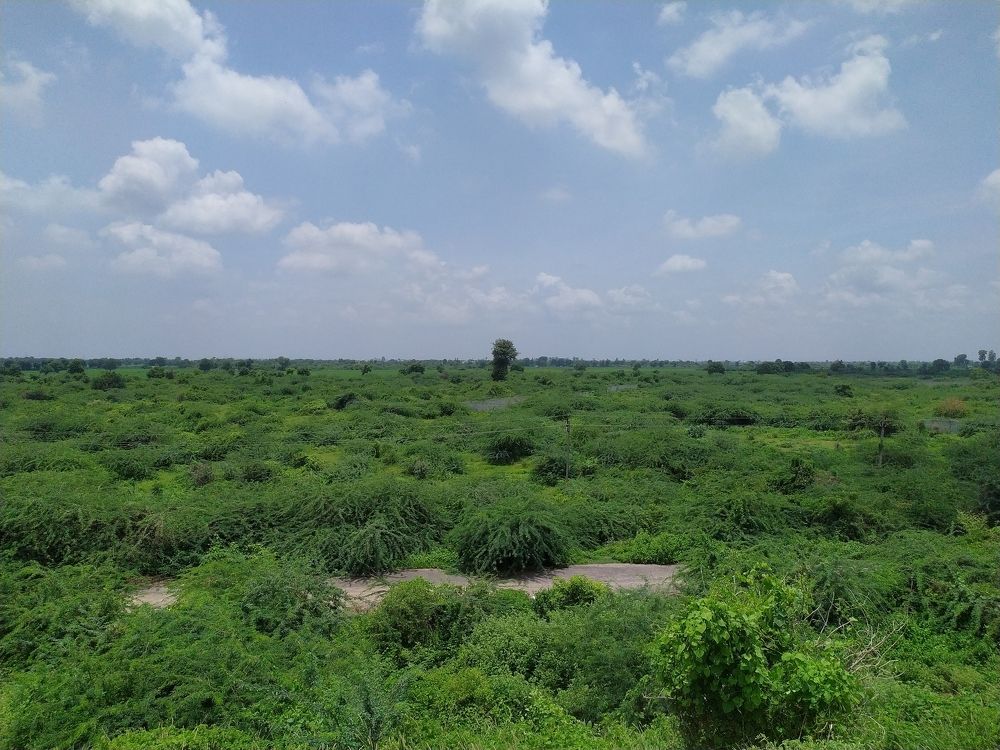 Photograph by Kamlesh Gohel