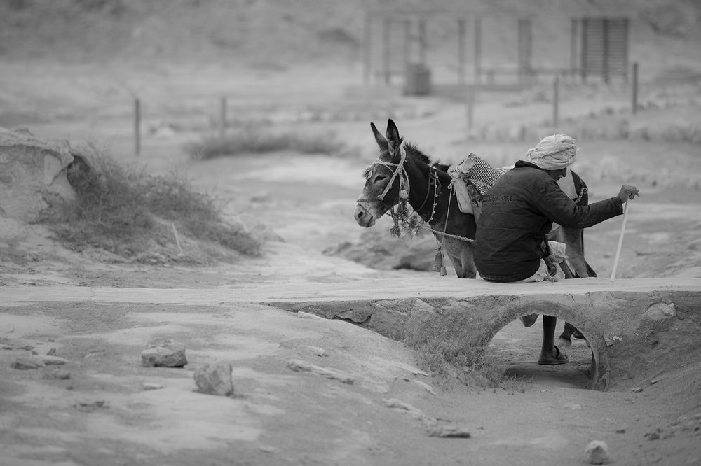 Photograph by MiLad Hamed