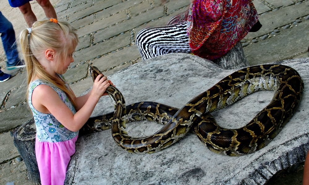 Мы с тобой одной крови.